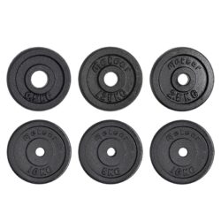METEOR 25.4mm Standard Weight Plates,Cast Iron Weight Plates,Weightlifting Plate,Gym Weight,Barbell Weight,Dumbbell Weight,Standard Plates for…