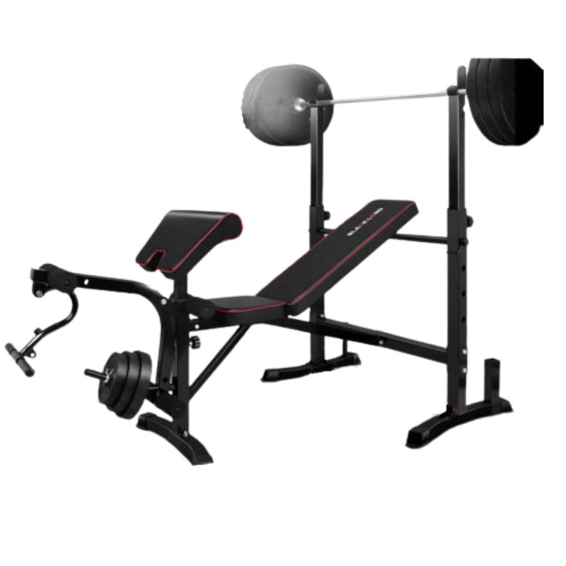 Weight Bench 10in1 Press Multi-Station Fitness Home Gym Equipment